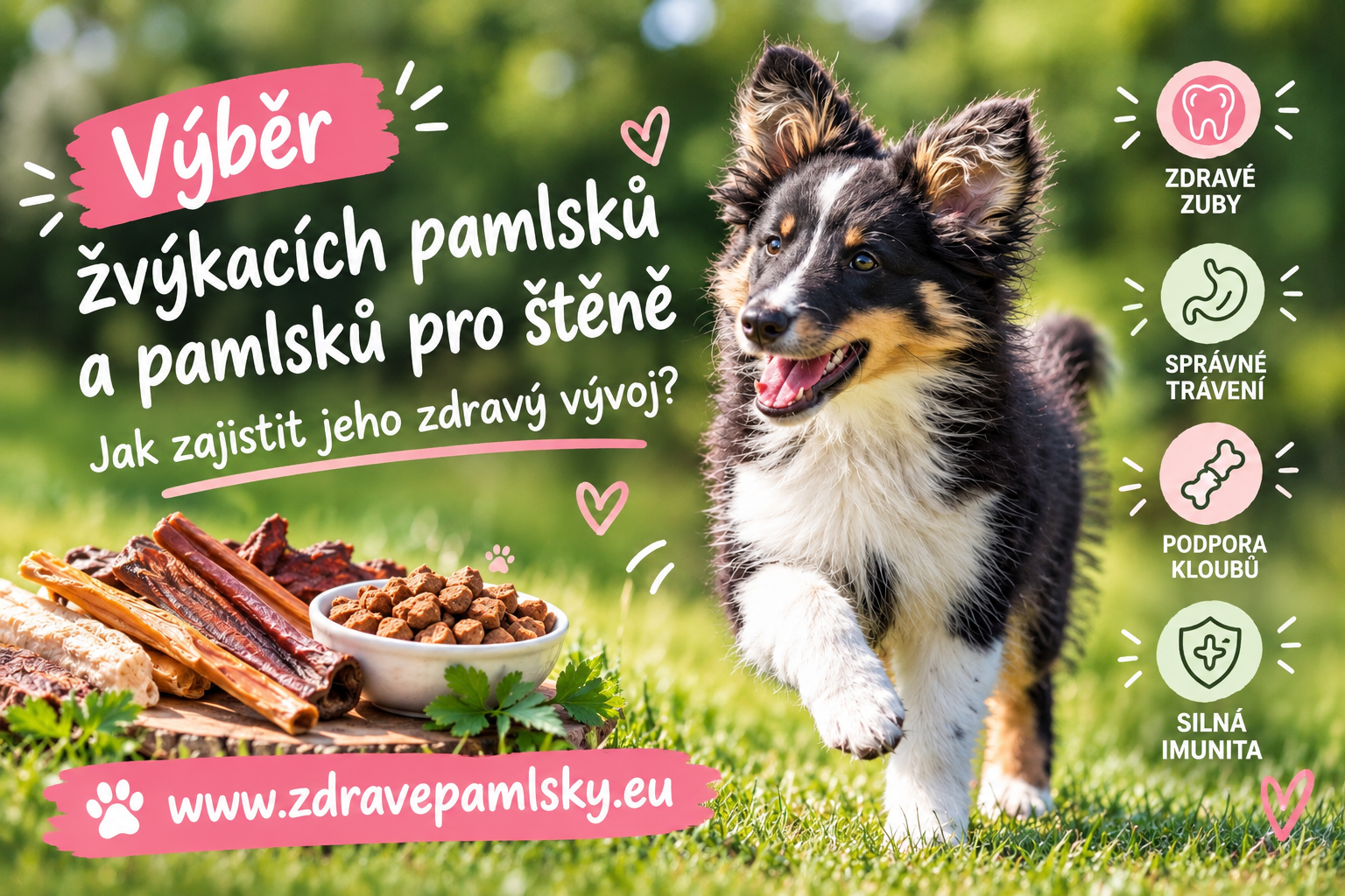 Zdraví a prevence