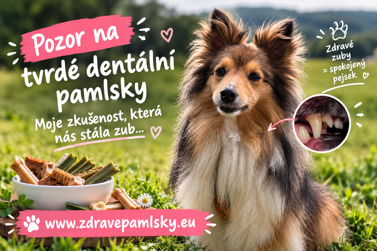 Zdraví a prevence